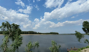 植樹節(jié)：種下希望的綠洲，迎接大地的回歸