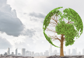 1542266523578123.png 285 200.png